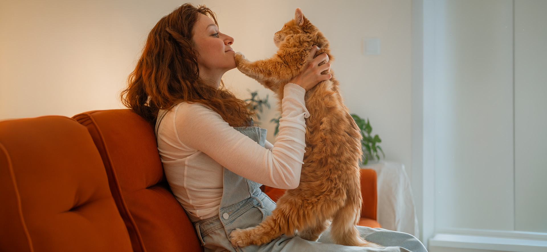  amor entre gatos y humanos